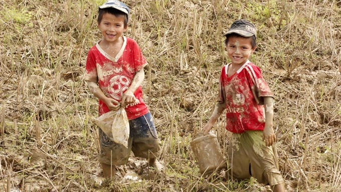 Bat cua lay tien mua sach hinh anh