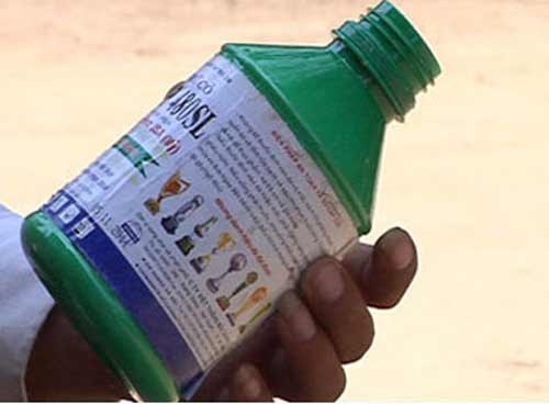 Bi me la mang, uong thuoc diet chuot tu tu hinh anh