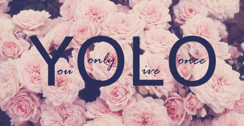 Xon xao voi de van nghi luan ve 'YOLO' hinh anh