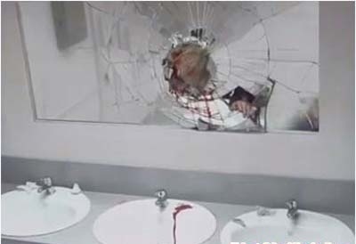 Mot dan ong bi cat co chet trong nha ve sinh hinh anh