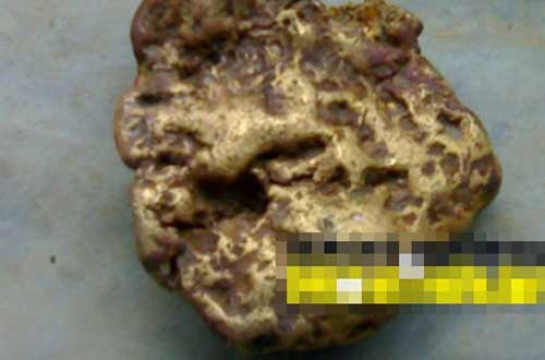 Khon kho vi nhat duoc cuc vang 2,1kg hinh anh