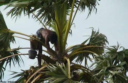 Nhung mon hoc la nhat the gioi hinh anh