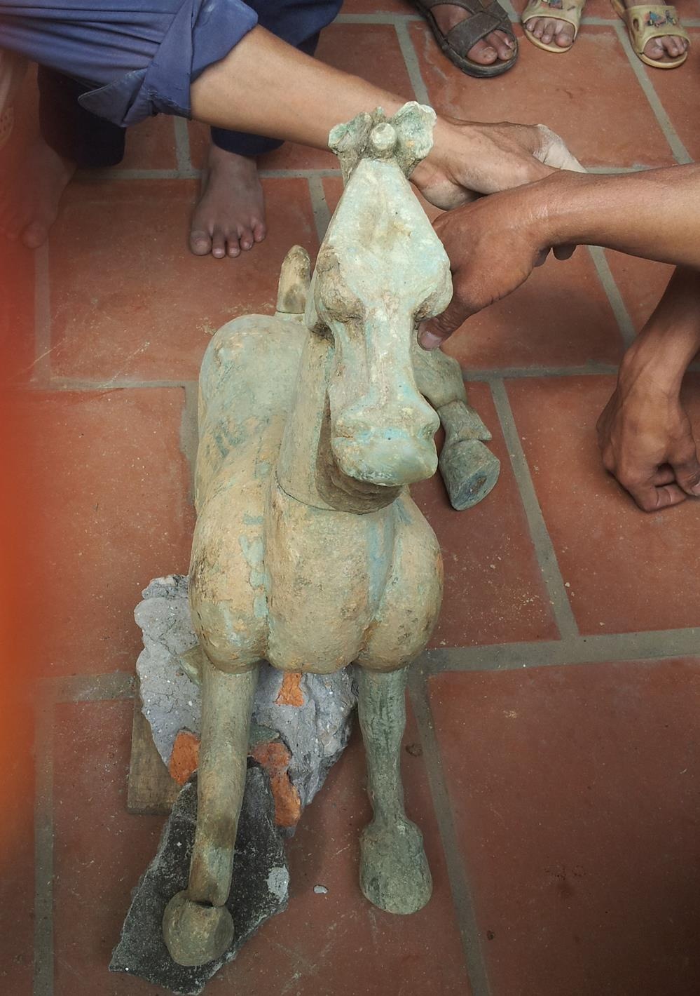 'Ngua co' dao duoc o Quoc Oai da bi ban? hinh anh