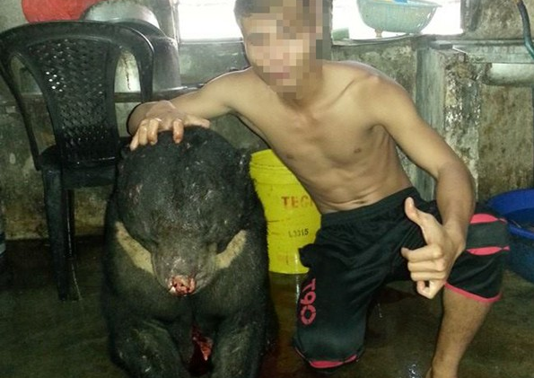 Se xu nghiem thanh nien giet gau hinh anh