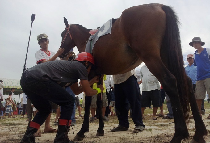Dua ngua phong trao 'ham nong' tinh than nguoi nuoi ngua hinh anh