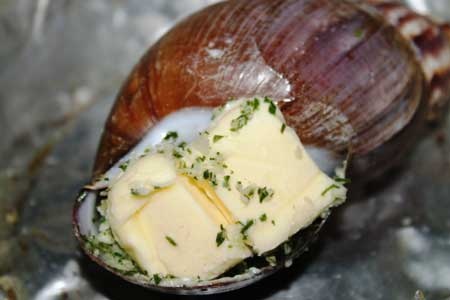 Tham hoa oc ma: Da co hang tram ca nhap vien hinh anh