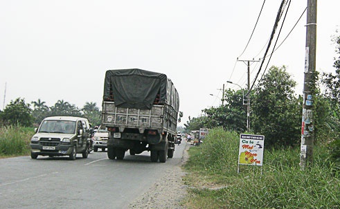 Loan ca phe tuoi mat tren Quoc lo 50 hinh anh