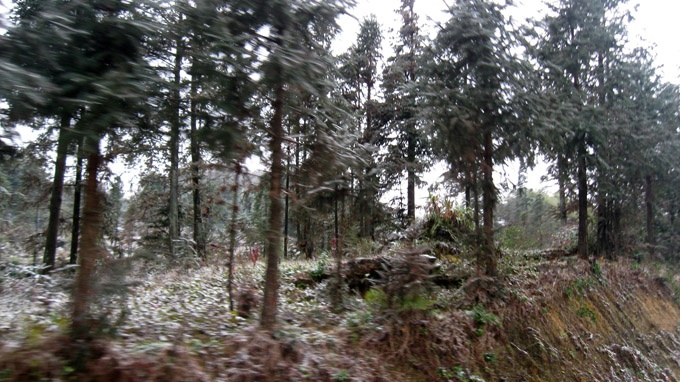 Tuyet roi nhung se tan nhanh hinh anh