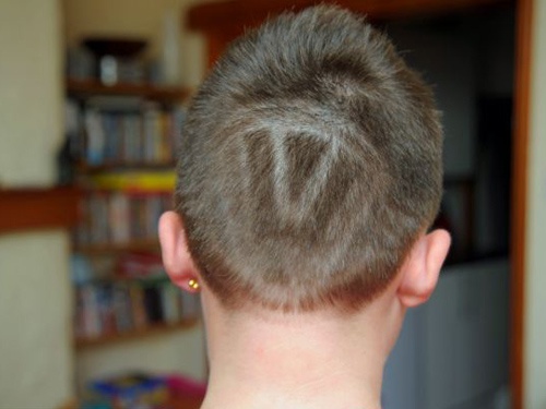 Bi duoi hoc vi cao toc hinh logo hinh anh