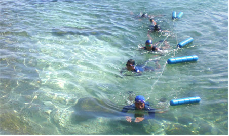 Buoi luyen tap khac nghiet ap Tet cua dac cong nuoc Viet Nam hinh anh