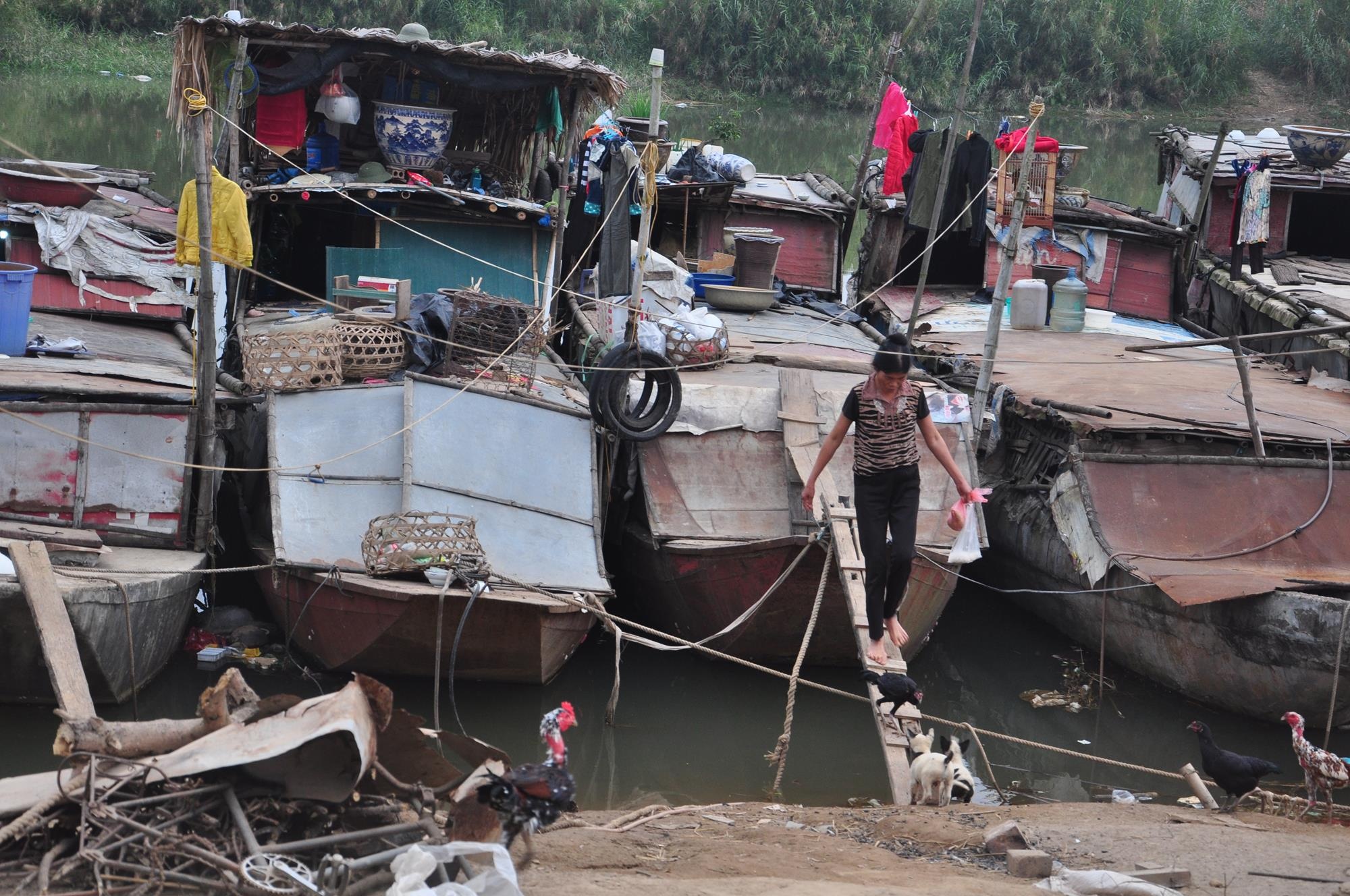 Tet diu hiu o xom thuyen giua Ha Noi hinh anh