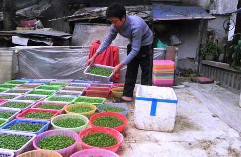 'Tet ho cuoi, con chung toi khoc...' hinh anh