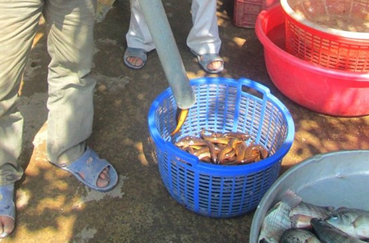 Xuyen rung san luon o Tay Ninh hinh anh