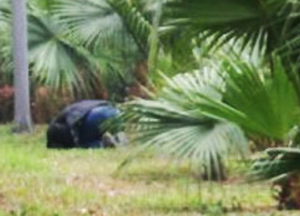 Lai xe Mercedes quy khoc sau khi hat nguoi len ca po hinh anh