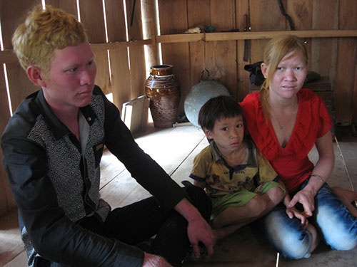 Lan dan vi... qua giong Tay hinh anh