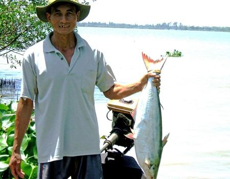 San 'ca quy toc' o cu lao trieu phu hinh anh