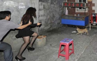 Gia canh sat hinh su tran lot gai mai dam hinh anh