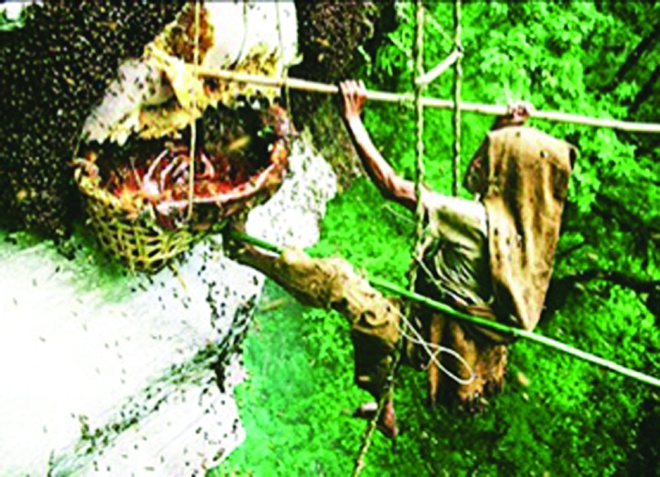 Kha nang bat ong cua tho san o bia rung xu Muong hinh anh