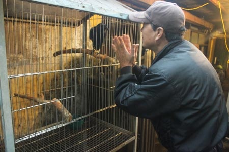 Nhung chu qua biet noi tieng Anh cua dai gia dat cang hinh anh