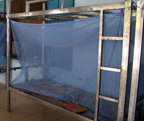 Nguoi dan ong tu vong bat thuong trong man hinh anh