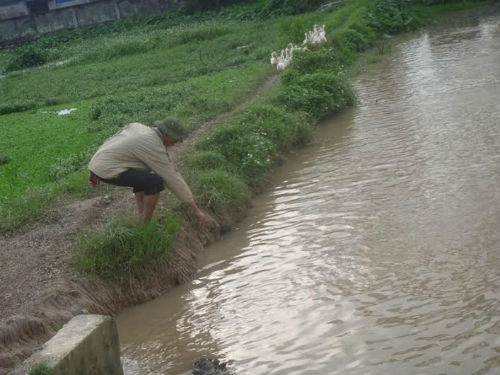 Phat hien xac 2 thai nhi duoi muong nuoc hinh anh