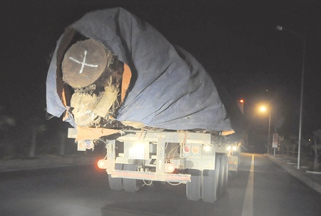 Xe gỗ chạy qua cầu Đắk Bla.