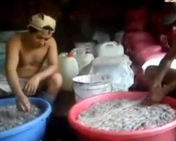 Bien long thoi thanh thuoc chua benh hinh anh