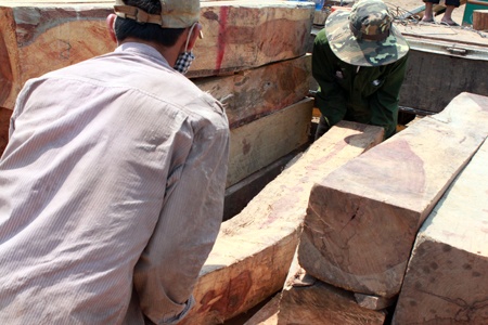 Họ làm việc với giá 500 nghìn đồng/ ngày công.