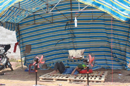 Các phu gỗ lập lều lán, ăn nghỉ tại công trường.