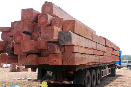 Kết hợp với vận chuyển bằng tay.