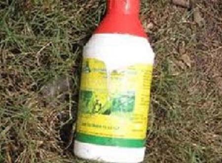 Lo chuyen ngoai tinh, chi dau, em chong cung tu tu hinh anh