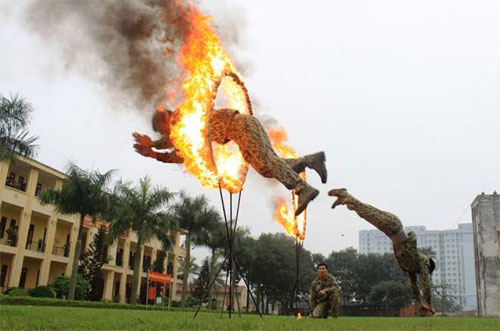 Bay qua vòng lửa.