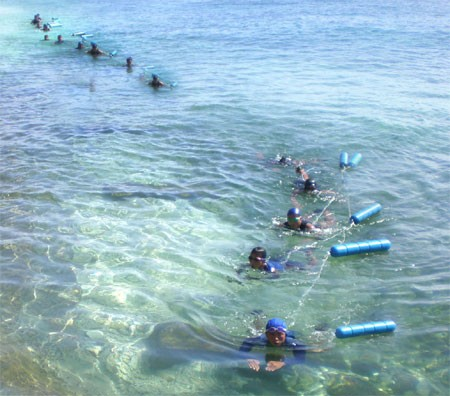 Huấn luyện tiếp cận mục tiêu.