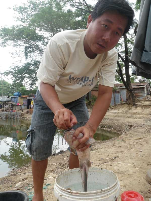 Cá vừa bắt được bán ngay tại hồ với giá 20.000 đồng/kg.