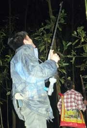 Những khẩu súng tự chế của người dân bản địa.