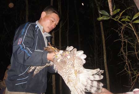 Theo dau chan tho san chim trong dem toi hinh anh