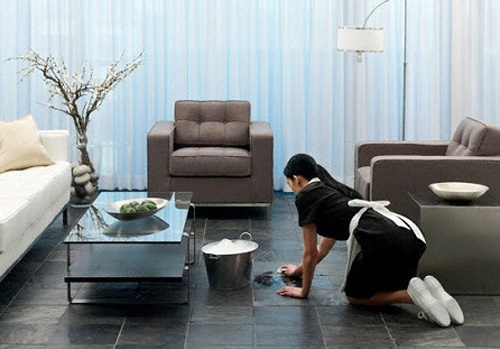 Thue osin, khong bat buoc phai dong bao hiem xa hoi hinh anh