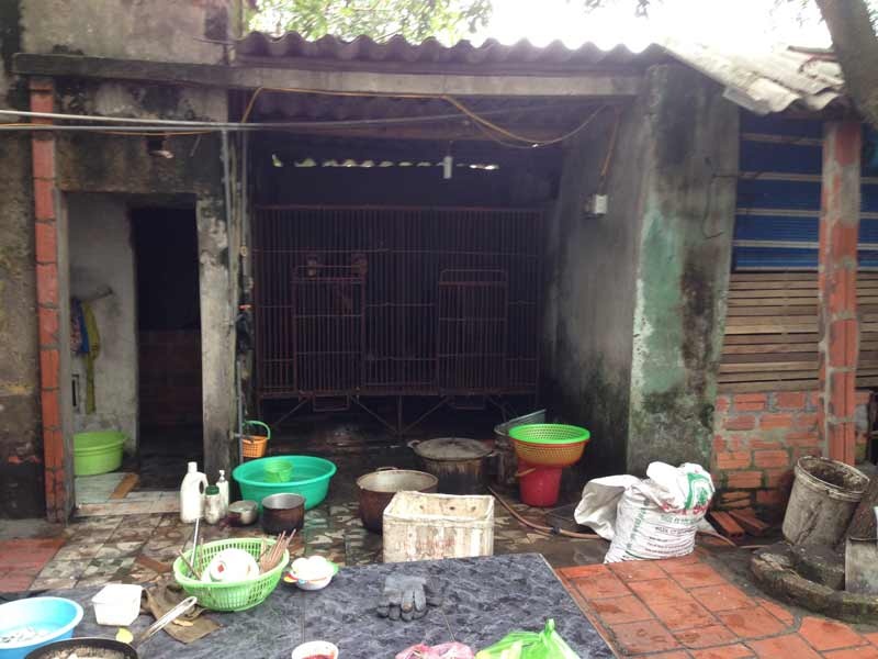 Be trai 3 tuoi bi gau can lia tay trai o Quang Ninh hinh anh