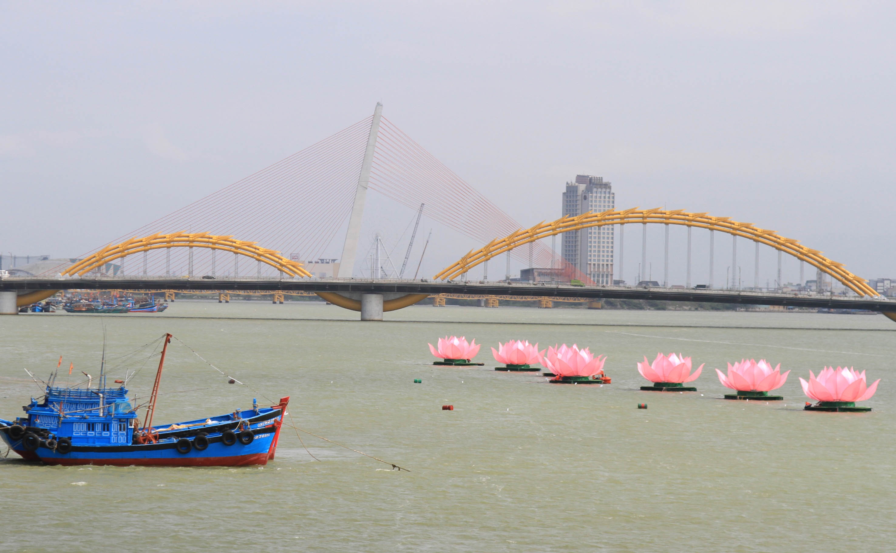 7 doa sen khong lo ruc ro tren song Han hinh anh