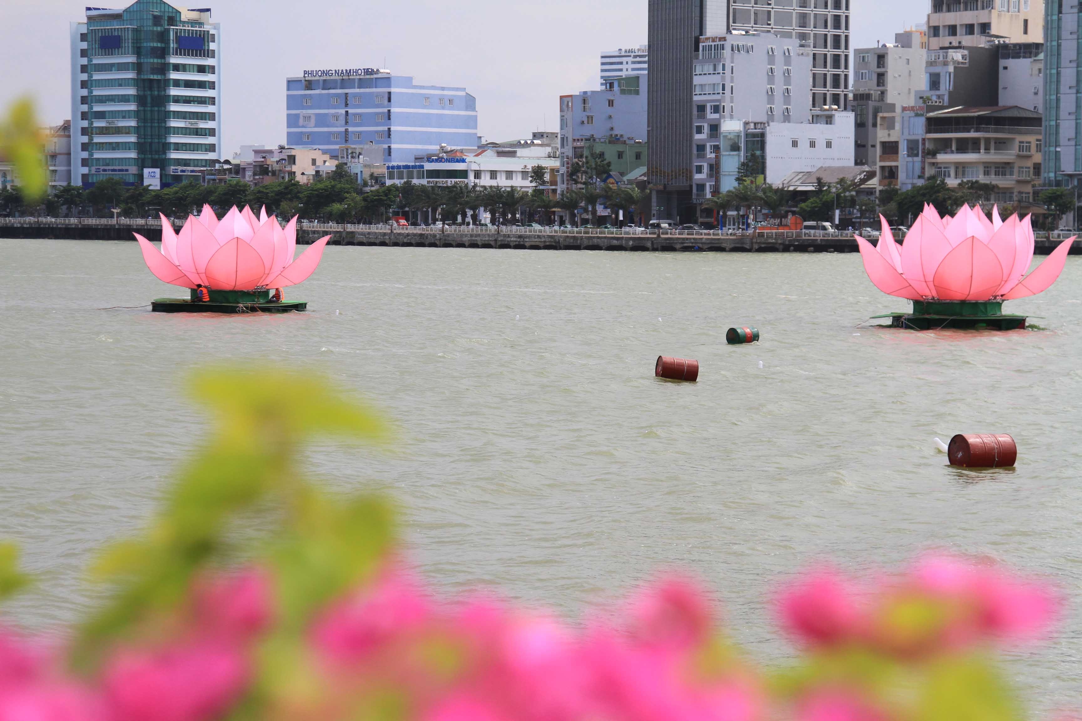Đây là lần đầu tiên trên sông Hàn xuất hiện 7 đóa sen hồng mừng mùa Phật đản 2014 - Phật lịch 2558.
