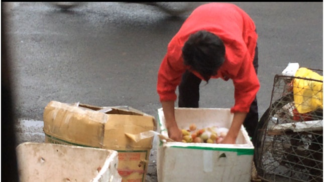 Rua hoa qua bang nuoc xa phong tren via he hinh anh