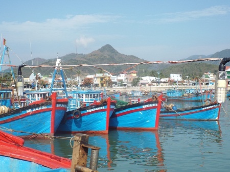 Ban tin VTC trua 12/5: Tau ca VN bi tan cong bang voi rong hinh anh