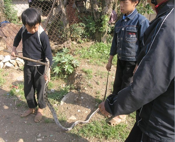Tre em cam ran hoang da ban day duong o Lao Cai hinh anh