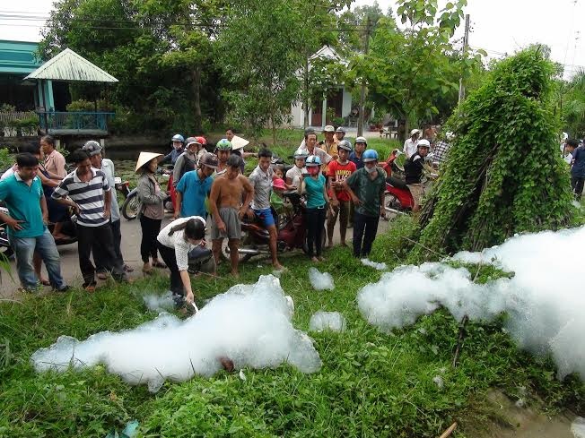 Bot tuyet xuat hien o Tay Ninh, ca chet hang loat hinh anh