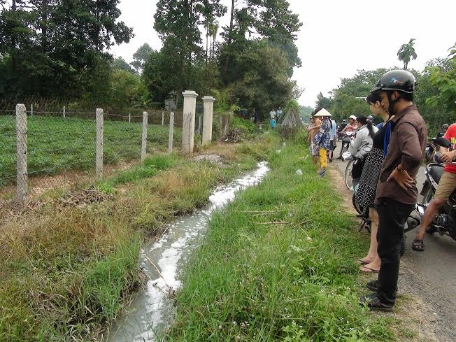 Đám bọt còn làm cá trong tuyến kênh chết hàng loạt, khiến người dân hoang mang lo lắng.  Sau khi nhận được tin báo, lực lượng chức năng đã có mặt tại hiện trường để tìm hiểu sự việc.
