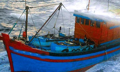 Ngu dan Viet tien gan gian khoan HD 981 hinh anh