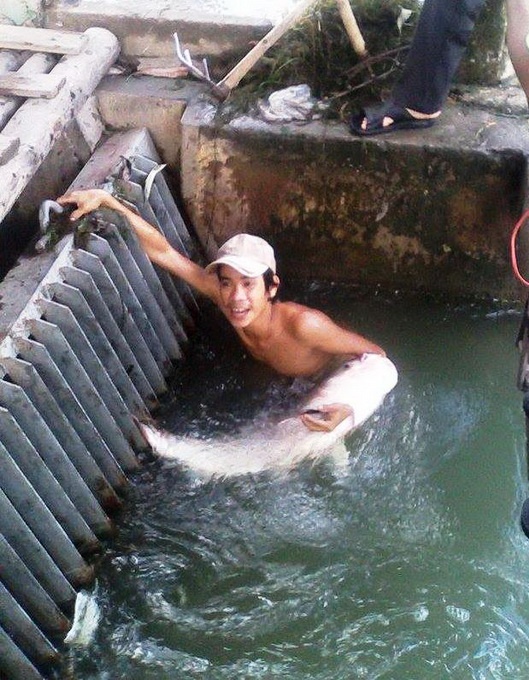 Người dân vui mừng khi bắt được cá to.