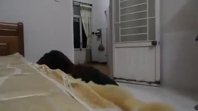 Ban minh cho thieu phu lon tuoi de lay 5 trieu dong? hinh anh