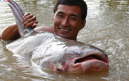 Khuc song cua nhung ‘thuy quai’ khong lo hinh anh