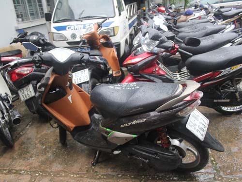 Gia cong an lua hang tram trieu dong hinh anh